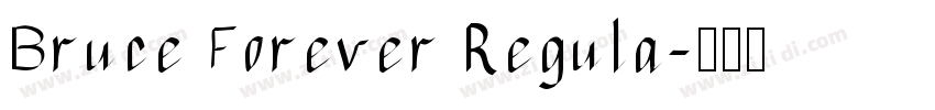Bruce Forever Regula字体转换